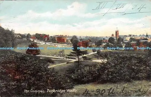 R248749 Tunbridge Wells The Common Brown and Rawcliffe 1904