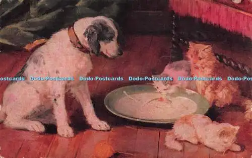 R247027 Hund und drei Katzen fressen Postkarte