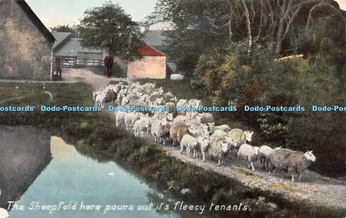 R247308 Der Schafstall schüttet hier seine flauschigen Pächter Wildt und Kray Serie N aus