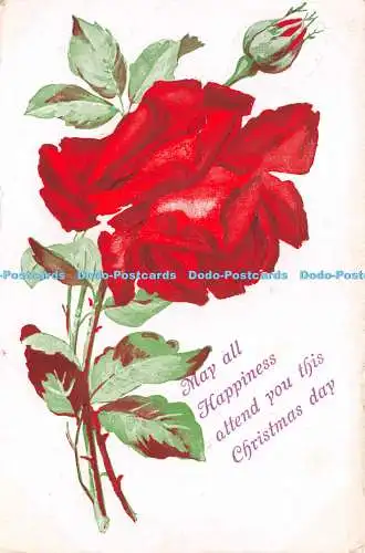 R251442 Möge alles Glück Sie an diesem Weihnachtstag begleiten Rote Rose 1908