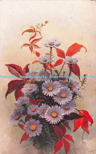 R251640 Weiße Blumen Blumen Studien Tuck Oilette Postkarte Nr. 3134 1918