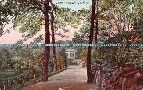 R250263 Endcliffe Woods Sheffield Postkarte