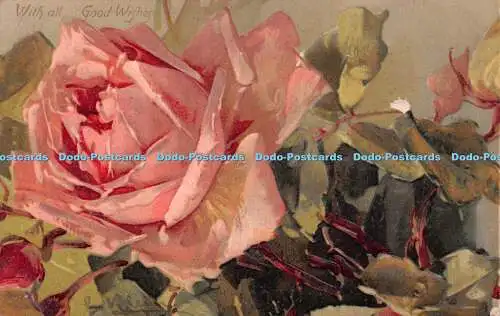 R252181 With all Good Wishes Pink Rose Davidson Bros Pictorial Post Cards Serie
