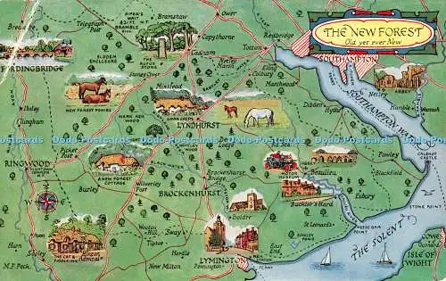 R254672 The New Forest Old yer ever New M F Peck Map Salmon
