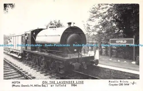 R256209 M3724 Dennis N Miles Esq On the Lavender Line at Isfield 1984 Pamlin Pri