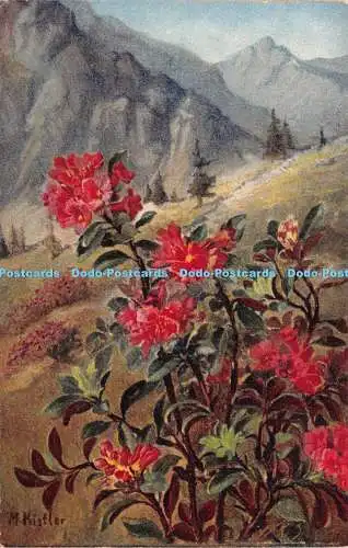 R253185 Blumen Berg T K V Postkarte 1925