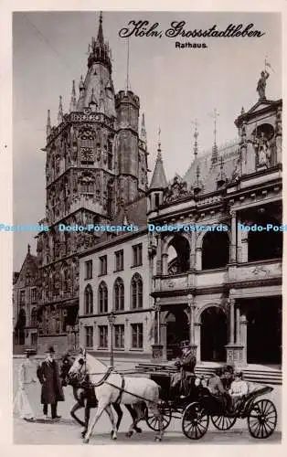 R253239 Köln Grosstadtleben Rathaus Pferd B und M Wollstein