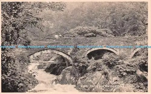 R253504 8491A Ponty Pair Bettys y Coed Judges