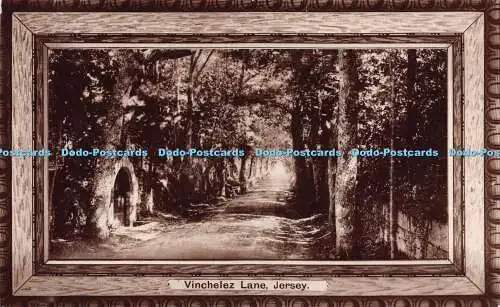 R260393 Vinchelez Lane Jersey RP Stiefel Cash Chemists