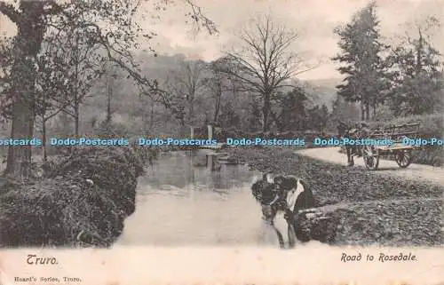 R258831 Truro Heards Serie Road to Rosedale 1904
