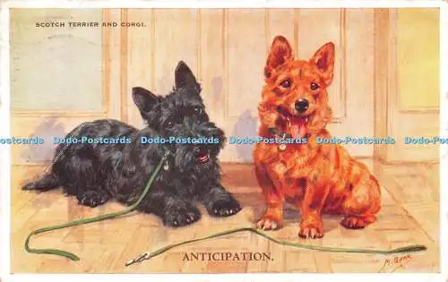 R258842 Scotch Terrier and Corgi Anticipation M Gear Dog Series Valentines 1954