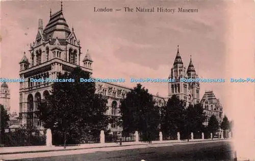 R255981 London The Natural History Museum 27 E D Pl 1910