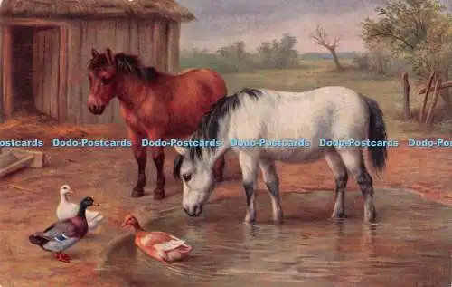 R259227 Pferde Enten Wasser Natur Lachs Serie 5023