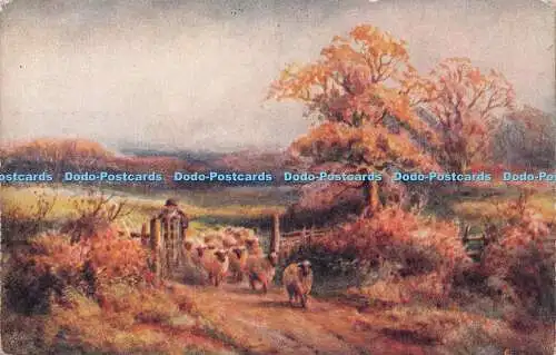 R261060 The Country Side Oilette Kenner Tuck Henry Stannard No 2360