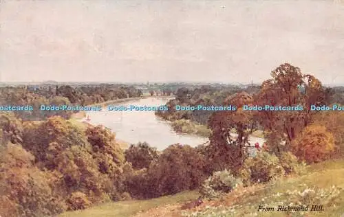 R257996 aus Richmond Hill Surrey Serie Nr. 39 Sutton Palmer A R Hope A und C Bl