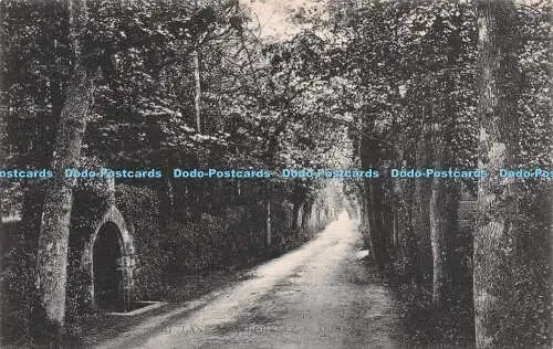 R261188 Forstgasse Zaun Eingangsweg Bäume Nr 1017