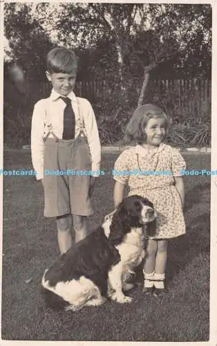 R263948 Junge und Mädchen und Hund auf Wiese Postkarte