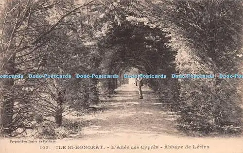 R266471 Ile St Honorath 103 LAllee des Cypres Abbaye de Levins Propriele exslusi