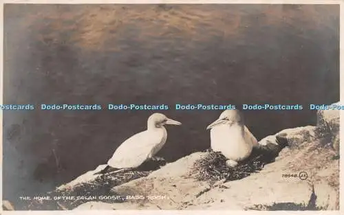 R267226 The Home of the Solan Goose Bass Rock RP Valentines
