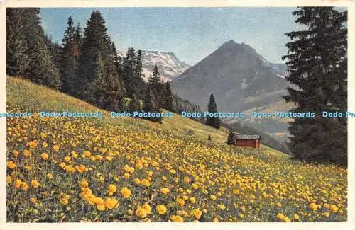 R267857 Nr A 1721 Fruhlingslandschaft bei Adelboden E Gyger und Klopfenstein