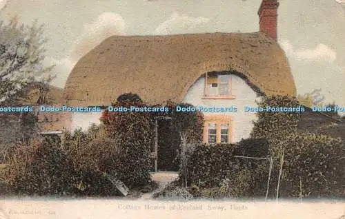 R266057 Cottage Homes of England Sway Hants F G O Stuart 599 Postkarte 1904