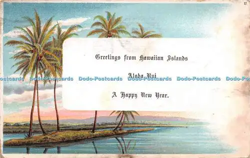 R268927 Grüße von Hawaii Inseln Aloha Huy Ein frohes neues Jahr Insel Kurios