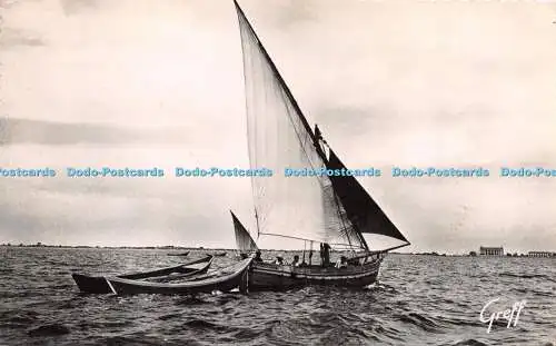 R271637 En Languedoc Le Grau du Roi Gard Rentree de la peche au thon au fond le