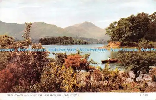 R272970 Derwentwater and Causey Pike From Broomhill Point Keswick KLD 142 Jarrol