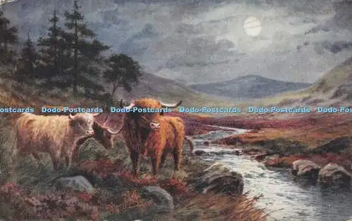 R271817 A Vivian Mansell Fine Art Publishers No 1061 Gemälde Moon Cattle