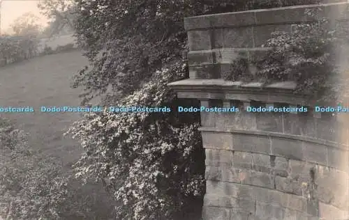 R271860 Unbekannter Ort Wand Gras Bäume alte Fotografie Postkarte