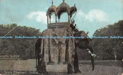 R273256 State Elephants Indian Fine Art Shureys 1908