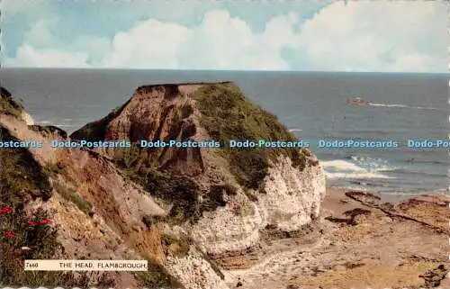 R272242 The Head Flamborough 7660 H Coates and Sons Wisbech Nene CH Serie