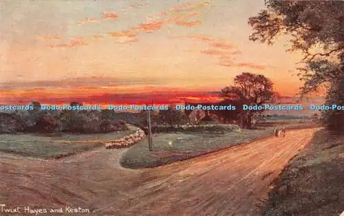 R272511 Twixt Hayes and Keston S Hildesheimer and Co HAYES COMMOS Series No 5471