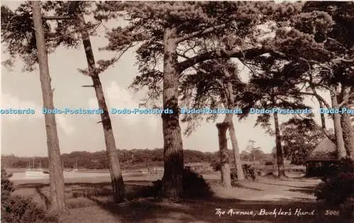R273936 The Avenue Bucklers Hard No 5001 Sunshine Series RP E A Sweetman