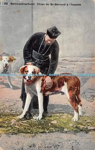R270292 22 Bernhardinerhund Chien du St Bernhardiner ein Hospiz Fototyp 1925