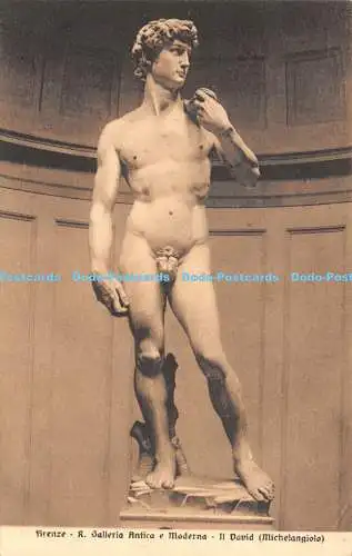R270845 Firenze R Galleria Antica e Moderna Il David Michelangiolo 19166 P G e C