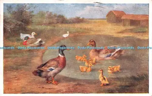 R274521 Enten Gemälde Lachs 1952