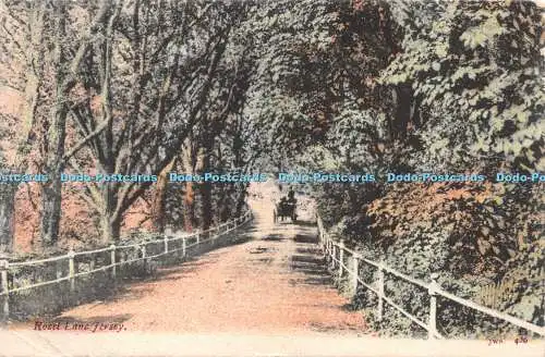 R276202 Rozel Lane Trikot JWS 436 1905