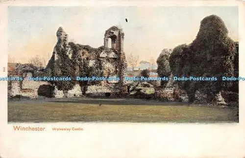 R276521 Winchester Wolvesley Castle Peacock Bildpapier