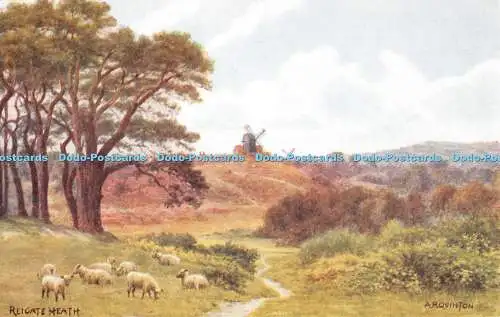 R276551 Bygone Surrey Reigate Heath A R Quinton Salmon No 