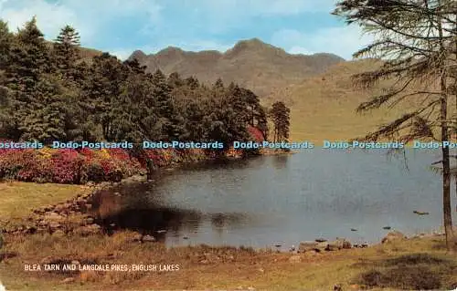 R276762 Blea Tarn And Langdale Pikes English Lakes Salmon Cameracolour No 1962
