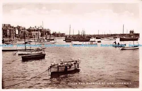 R279997 Cornwall St Ives Gulls and Harbour M and L National Series