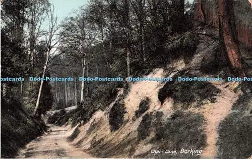 R278530 Dorking Chart Lane F Frith Postkarte 1905