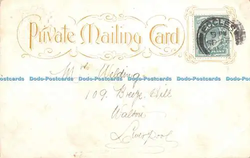 R277497 Reversing Falls Saint John Tide Running Up 1902