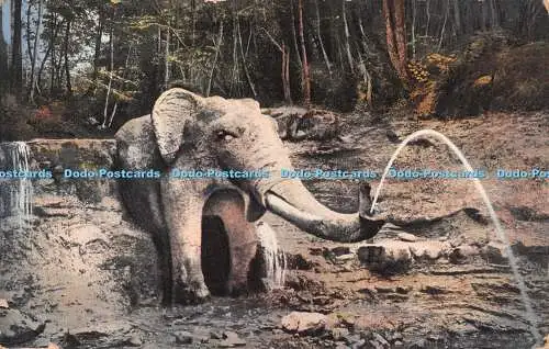 R280931 Zurichberg Elefantenbach No 2743 Photoglob