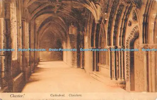 R282673 Chester Cathedral Cloisters Hugo Lang 1005 1905 Langs Serie