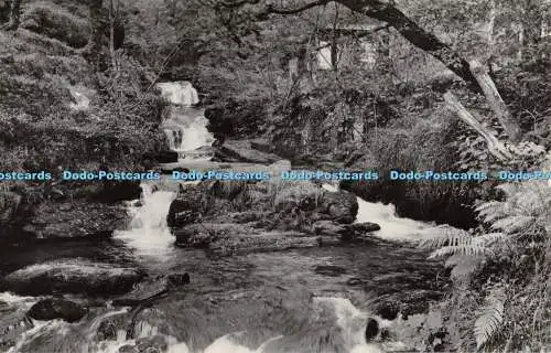 R282894 BCM Bilder Nr 1167 Watersmeet The Lower Falls of Hoar Oak Water in Bar