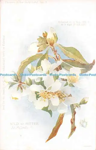 R284138 In Ecc XII 5 als Zeichen des Alters bezeichnet Blumen des Heiligen Landes N