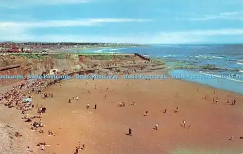 R281677 Katzen- und Hundetreppe Seaburn Sunderland PT20640