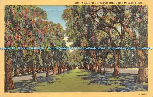 R281825 619 A Beautiful Pepper Tree Drive in California Western Publishing and N
